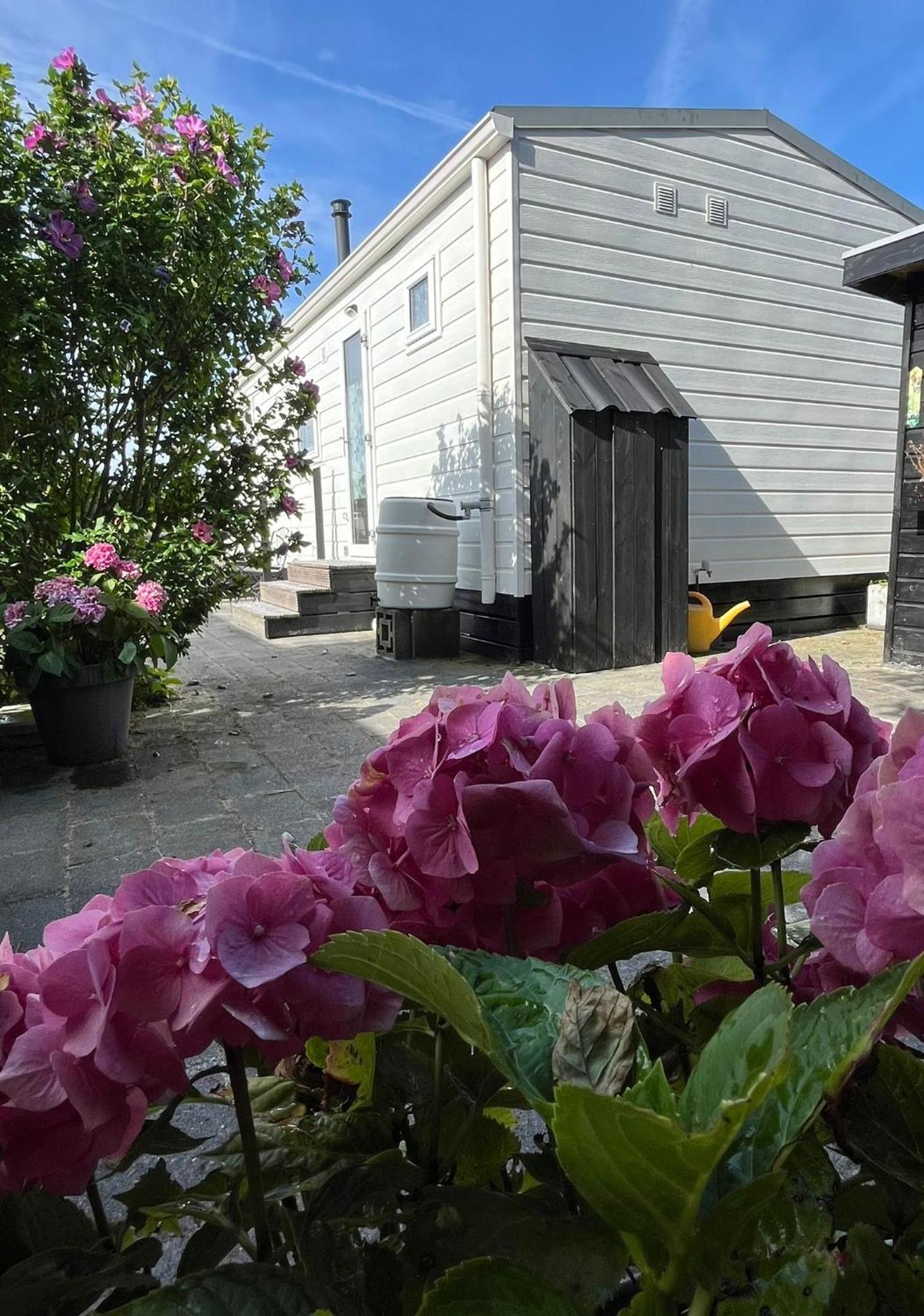 Eldorado Aan Zee Villa Петен Екстериор снимка